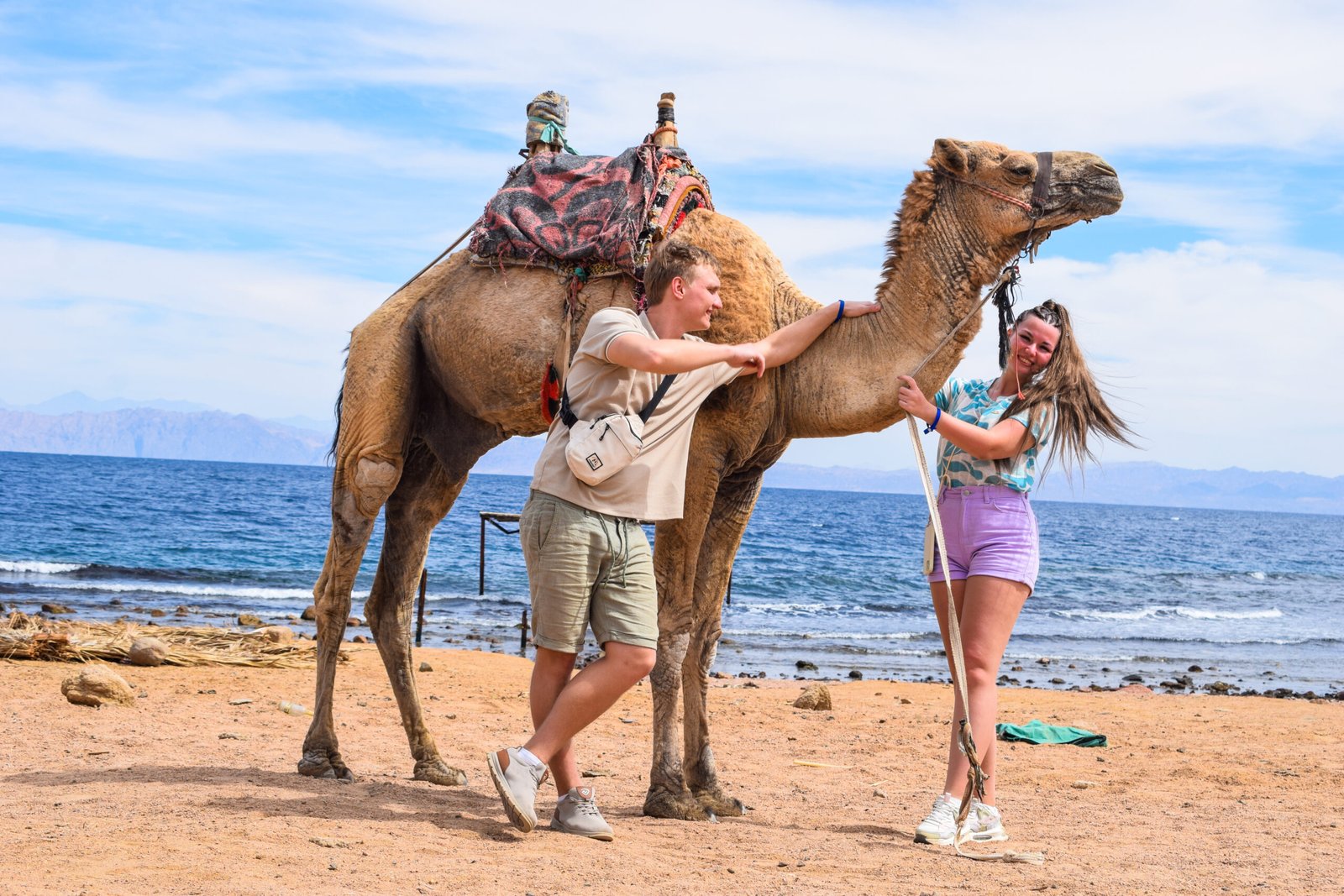 Дахаб дискавери 4 в 1