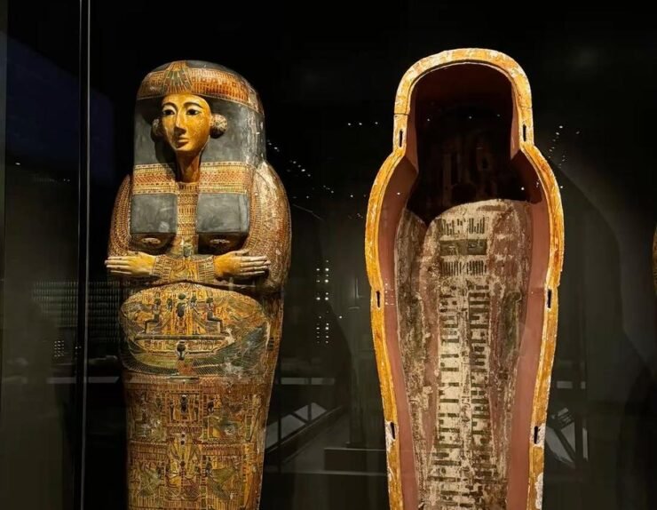 WhatsApp Image 2025-11-23 at 10.51.12_5b99db72